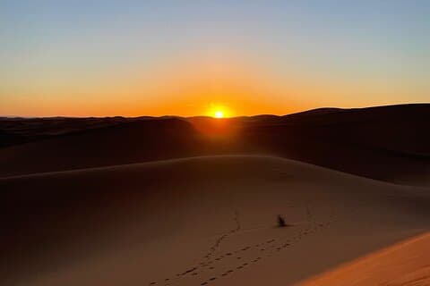 Multi Days desert Tour 3 Days 2 Nights