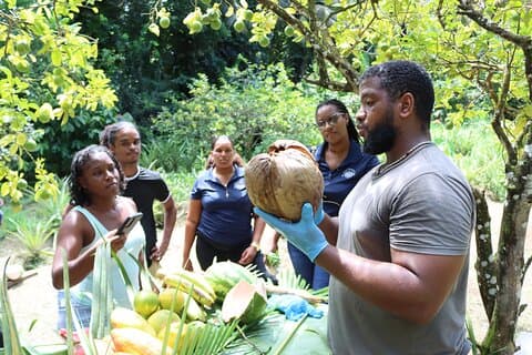 Hoteller i nærheden af St Lucia Living Heritage Community Experience