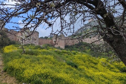 Ancient Corinth and Acrocorinth Full-Day History Tour from Athens