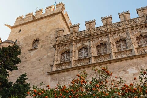 Rundtur i monumentala Valencia