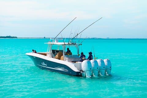 Meio Dia Compartilhado, Pesca de Bottom em Reel Bouys