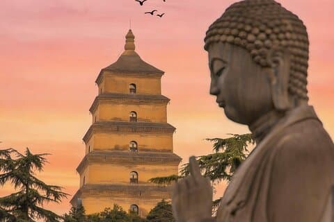 Excursión privada de día completo a los guerreros de terracota de Xi'an y la Gran Pagoda del Ganso Salvaje