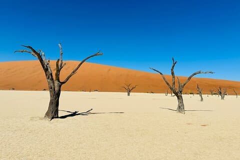 12 Days Ultimate Namibian Safaris