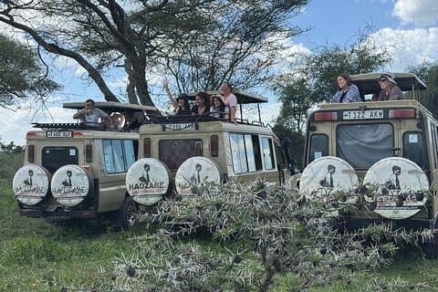 タンザニアサファリ4日間タランギル・セレンゲティとンゴロンゴロ火口