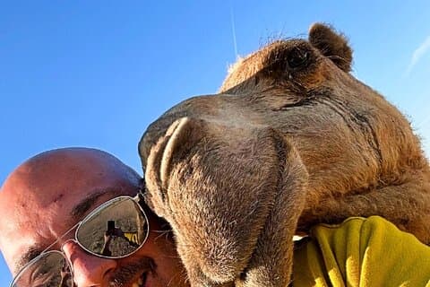 Tour con licenza di mezza giornata a Kuwait City e Deserto PickUp & DropOff