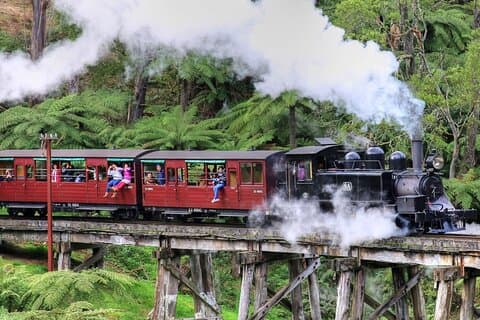 Puffing Billy och Phillip Island Wildlife Day Tour