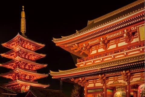 Città notturna e tour di Cherry Light-up e spettacolo di samurai moderni