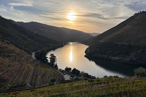 Douro Valley privat vin tur | smagninger og frokost inkluderet