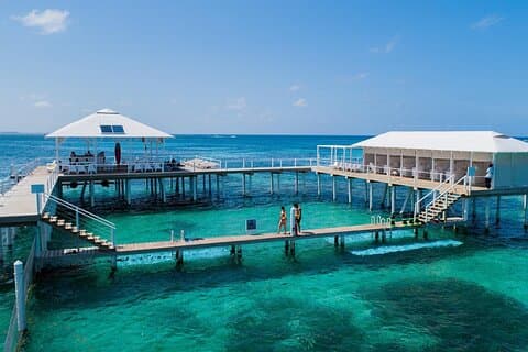 Excursión al Reef Explorer desde Bayahibe en Marinarium