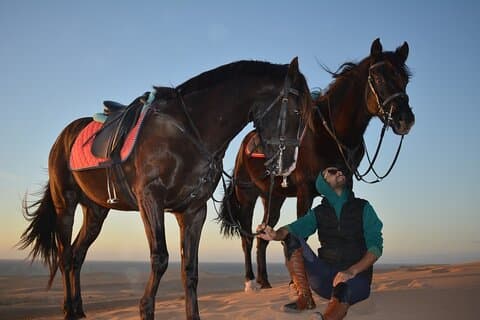 Dia inteiro de aventura mágica a cavalo Agadir Tifnit