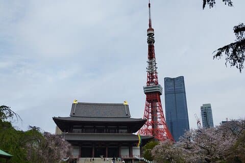 東京タワーチケットで東京中心部を巡る