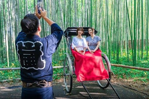 Luxury Kyoto 1-Day Private Car Tour with Nara & Osaka Options