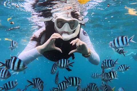 Palaos Snorkeling