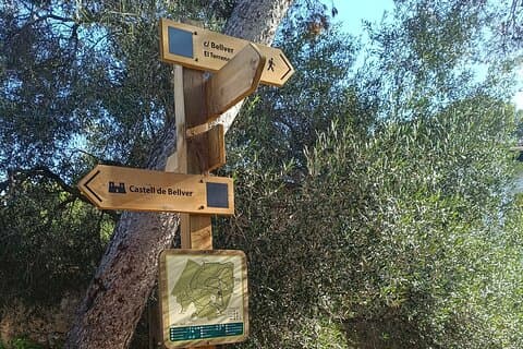 Palma skog og gamleby E-sykkel tur og Bellver Castle Hike