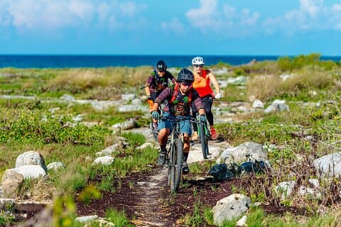 Jungle Off Road Bike Tour par Cenotes et Littoral