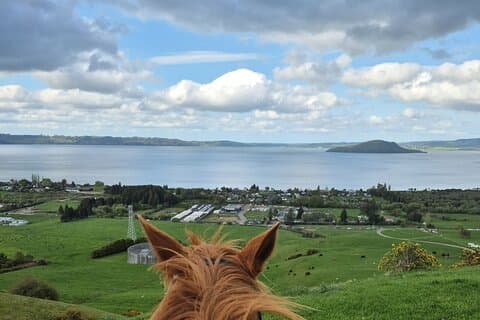 Malerisches Pferde-Trekking-Abenteuer in Rotorua