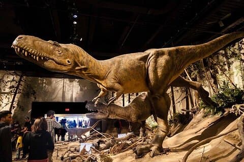 Privat dag af dinosaurer & Hoodoos fra Calgary til Badlands