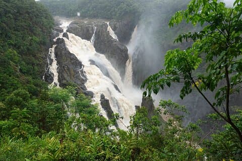 Excursão privada de luxo Kuranda Experience