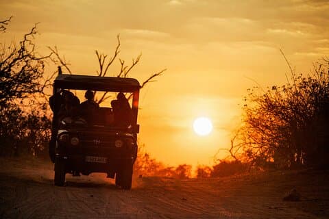 7 dagars lyxsafari Chobe Okavango Delta och Victoriafallen