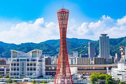 Da Osaka : tour privato di un giorno della birreria Kobe Sake in auto
