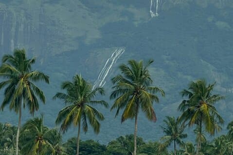 Kochi Private Kerala Scenic Beauty Day Tour with Lunch