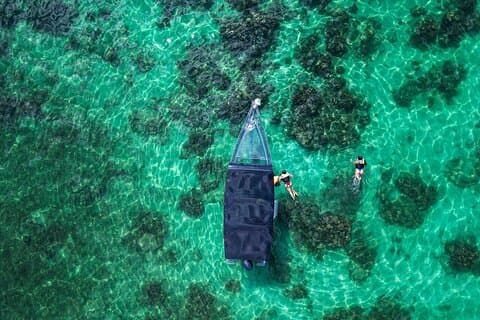 Roatan Clear Boat Tour