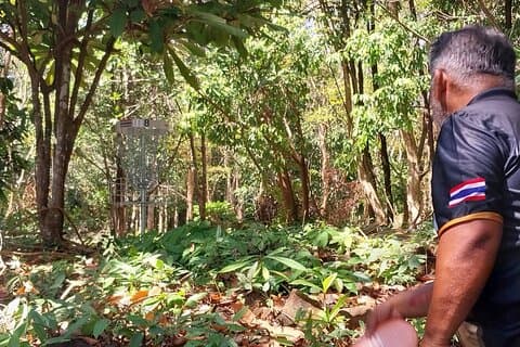 Disc Golf Adventure on Koh Kood Island