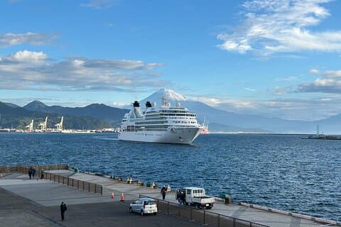 Tour turístico privado desde Shimizu Port Medium Bus