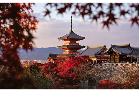 京都・奈良日帰りツアー伏見稲荷清水寺奈良公園