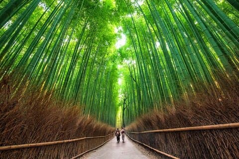 Avgång från hamnen: Privatbilstur inom Kyoto stad