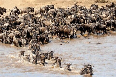 5 flerdagers flyin safari til Tanzania store parker med kultur