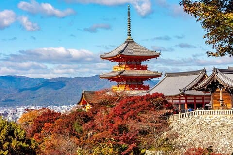 京都半日小グループツアー