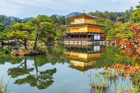 Visite d'une demi-journée en petit groupe au départ d'Osaka