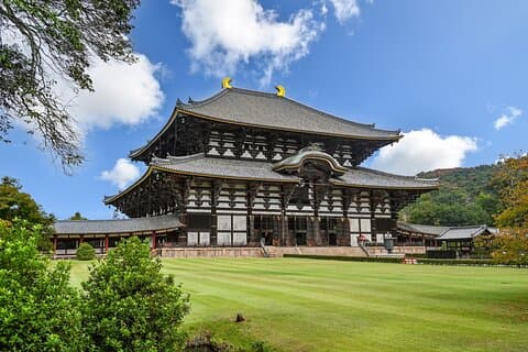Nara Halve dag tour met kleine groep vanuit Kyoto