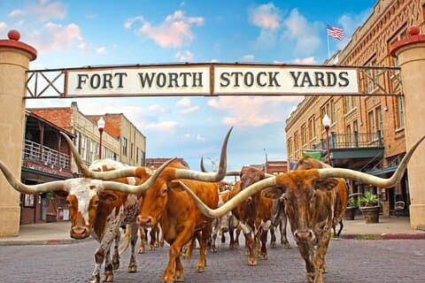 Fort Worth Heritage and Landmark Van Tour 70 min or 3 hours