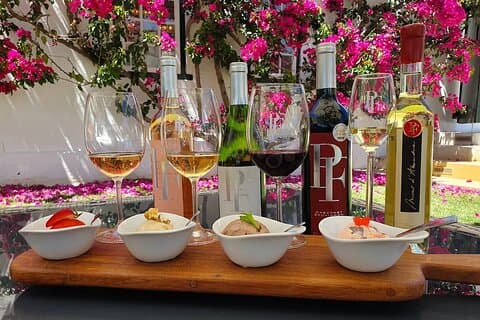 Privat djurliv och premiumvinTour Stellenbosch