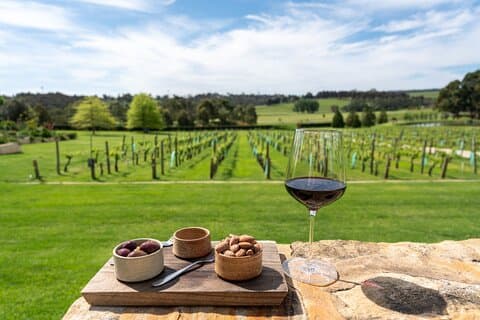 McLaren Vale Wine & Hills Discovery – Excursão Privada em Adelaide