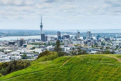 Tour privato di mezza giornata di Auckland con Monte Eden
