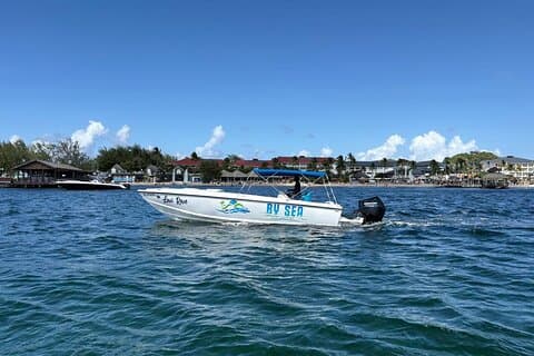 St Lucia 45Min Speedboat Airport Transfer to Resort