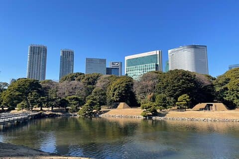 Giardini di Hamarikyu e Ginza Park Tour