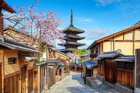 From Osaka 10 Hours Tour with Private Vehicle in Kyoto or Nara