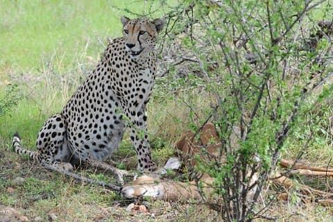 Nairobi Private 9 - Dagstur upplevelse