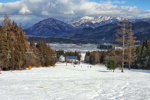 Private Van Transport Between Tokyo and Nagano