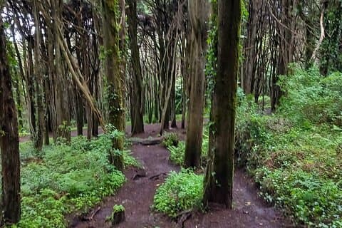 Caminata Privada en Parque Natural y Almuerzo Tradicional a la Parrilla
