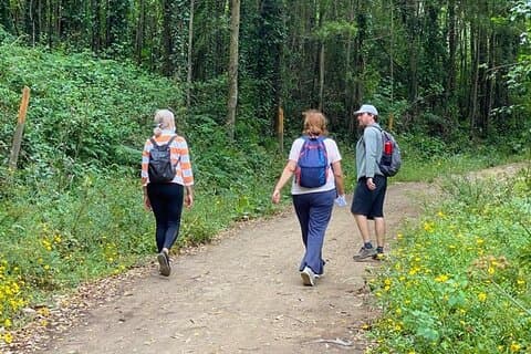 Private Half Day Hiking in Sintra-Cascais Natural Park