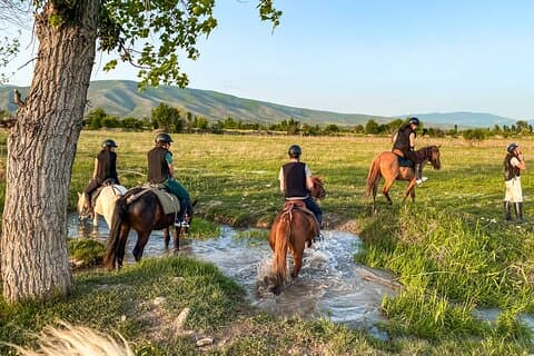 2 timmars ridtur på Palomino Ranch nära Tbilisi