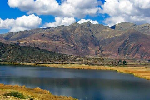 Huacarpay Bird Watching Tour from Cusco