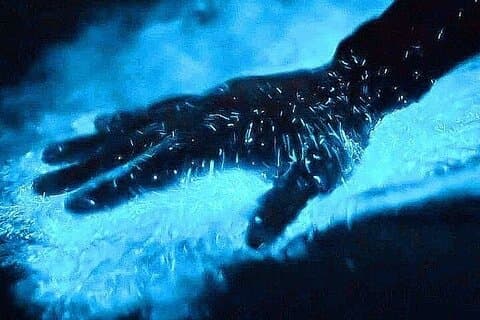 Bioluminescens og solnedgangsbådtur til Los Arcos de Mismaloya
