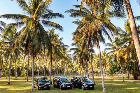 PORT DOUGLAS to HARTLEYS CROCODILES Return Trip Private Transfer