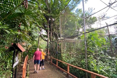 Geführter Belize Zoo, Rumfabrik & Belize Stadtrundgang